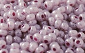 Seed Beads - 21682