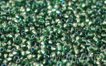 Seed Beads - 21683