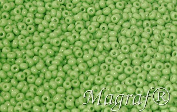 Seed Beads - 21686