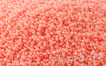 Seed Beads - 21688