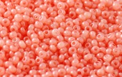 Seed Beads - 21688