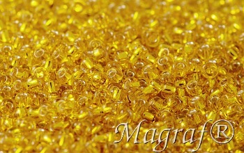 Seed Beads - 21691