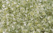 Seed Beads - 21693