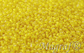 Seed Beads - 21694