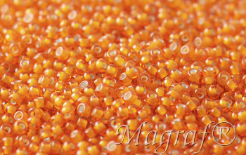 Seed Beads - 21708