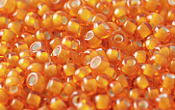 Seed Beads - 21708