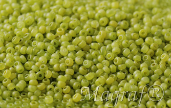 Seed Beads - 21709