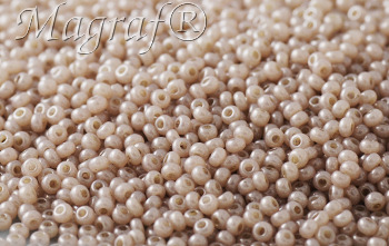Seed Beads - 21712