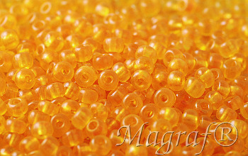 Seed Beads - 21715