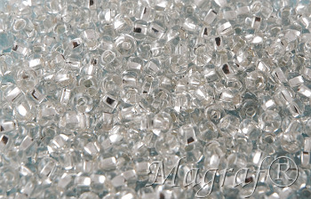 Seed Beads - 21724