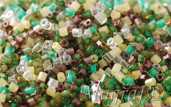 Bugle Beads - 21752