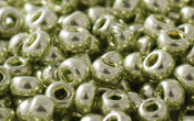 Seed Beads - 21777