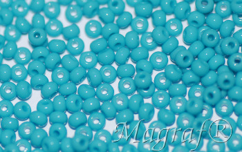 Seed Beads - 21802