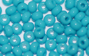 Seed Beads - 21802