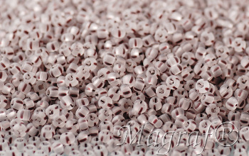 Seed Beads - 21824