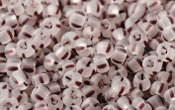 Seed Beads - 21824