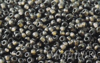 Seed Beads - 21920
