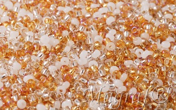 Seed Beads - 21970