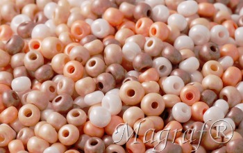 Seed Beads - 21978