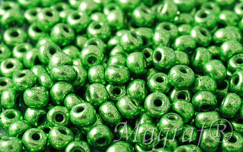 Seed Beads - 22040