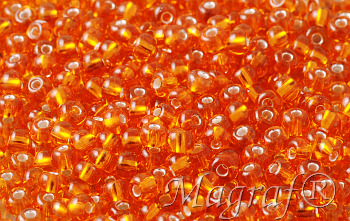 Seed Beads - 22044