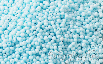 Seed Beads - 22047