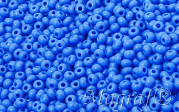 Seed Beads - 22208