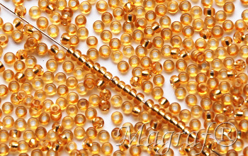 Seed Beads - 22209