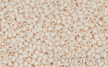 Seed Beads - 22211