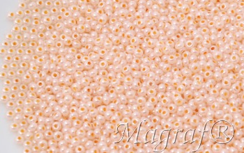 Seed Beads - 22221