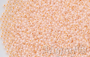 Seed Beads - 22221