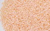 Seed Beads - 22221