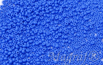 Seed Beads - 22236