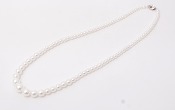 Pearl Necklace - 22265