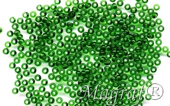 Seed Beads - 22268