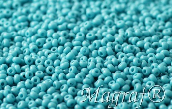 Seed Beads - 22301