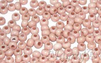 Seed Beads - 22313