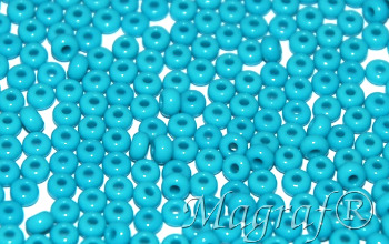 Seed Beads - 22314