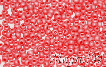 Seed Beads - 22319