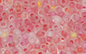 Seed Beads - 22326