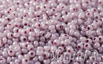 Seed Beads - 22354