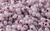 Seed Beads - 22354