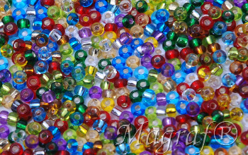 Seed Beads - 22409