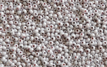 Seed Beads - 22414