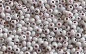 Seed Beads - 22414