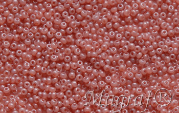 Seed Beads - 22420