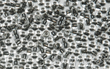 Seed Beads - 22421