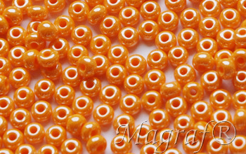 Seed Beads - 22530