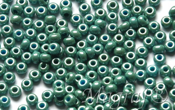 Seed Beads - 22531
