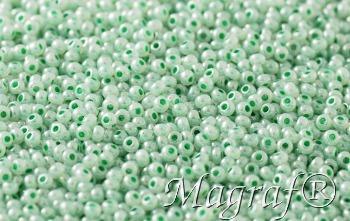 Seed Beads - 22572